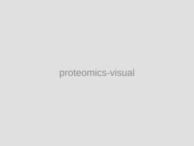 Proteomic network visualization